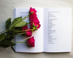 7 nejlepších básní Emily Dickinsonové s rozborem a komentářem