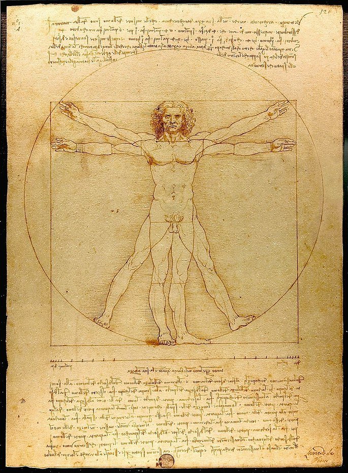 Vitruvian Man Leonardo da Vinci پاران
